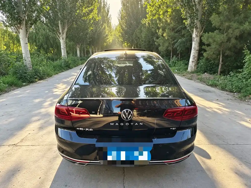 Volkswagen Magotan 2024