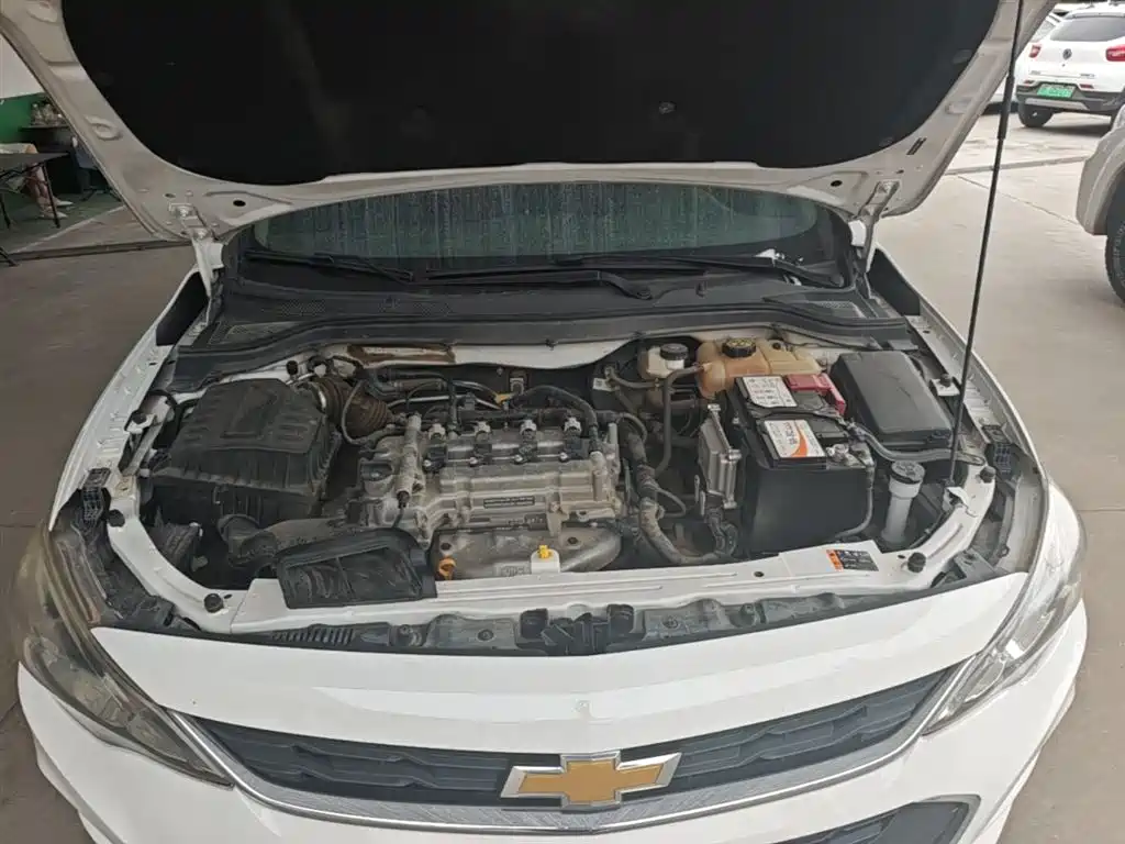 Chevrolet Cavalier 2019 — фото 16