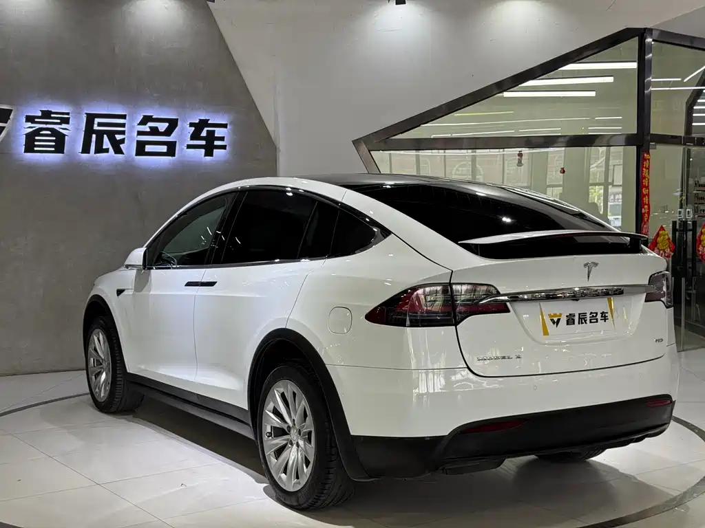 Tesla Model X 2019 — фото 3