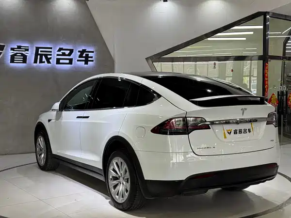 Tesla Model X 2019