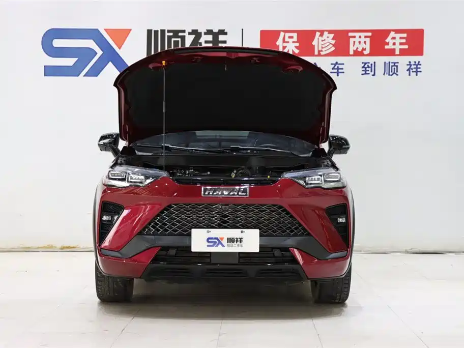 Haval H6S 2022 — фото 20