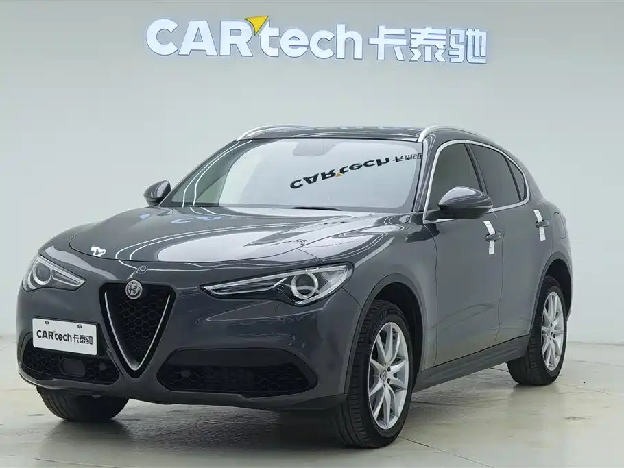 Alfa Romeo Stelvio 2019 — фото 1