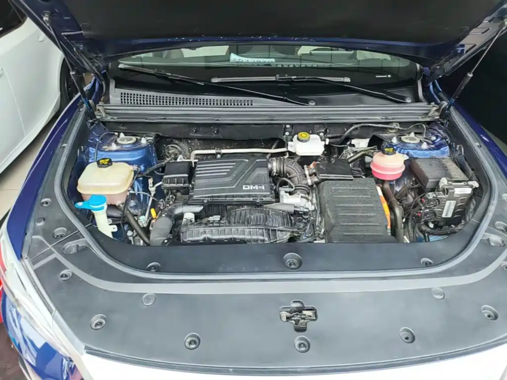 BYD Song Pro New Energy 2022 — фото 20