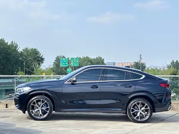 BMW X6 2022