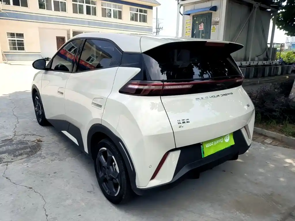 BYD Seagull 2024