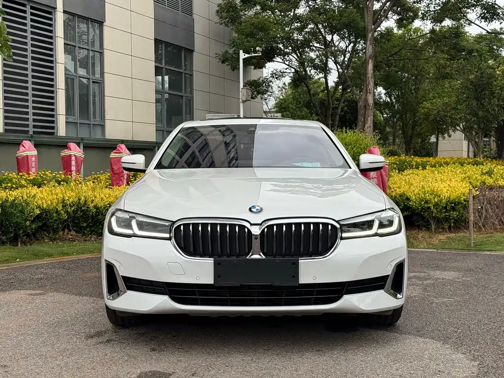 BMW 5 Series 2021