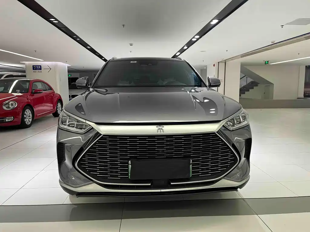 BYD PLUS New Energy 2022 — фото 2
