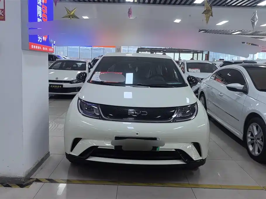 BYD Dolphin 2026