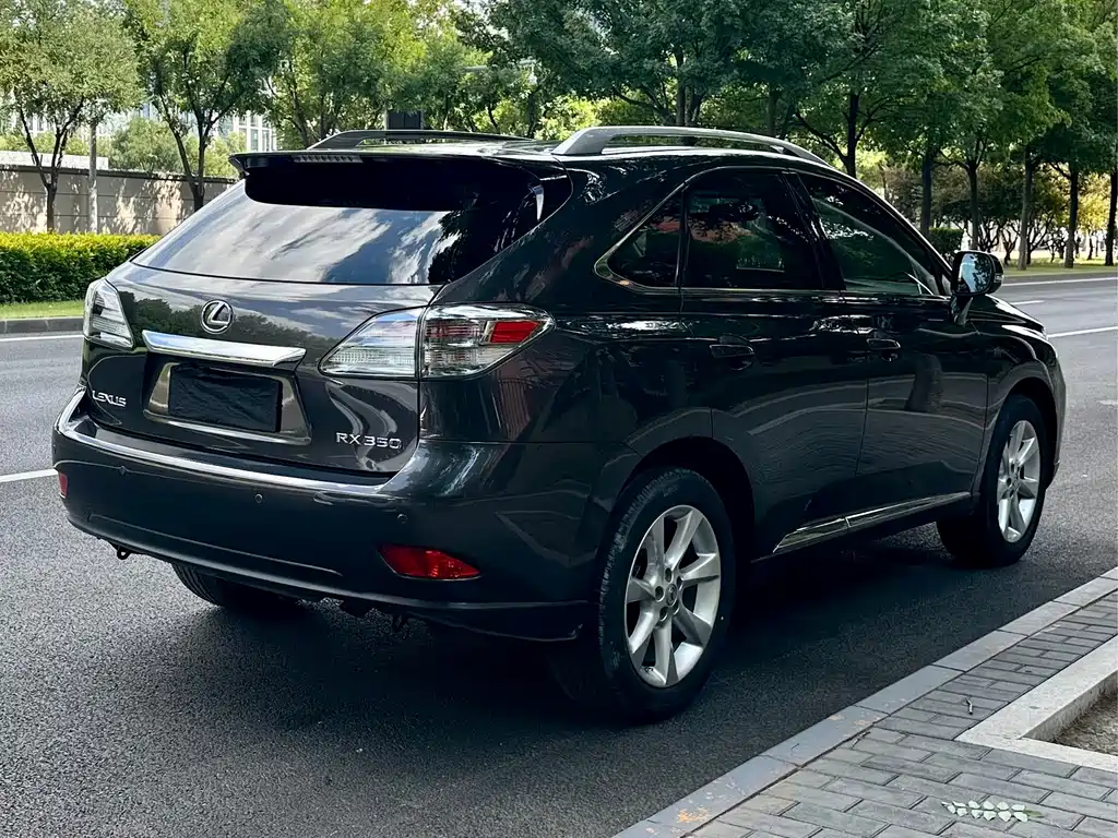 Lexus RX Classic 2010 — фото 13