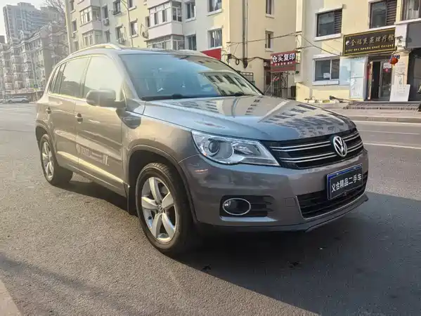 Volkswagen Tiguan 2010