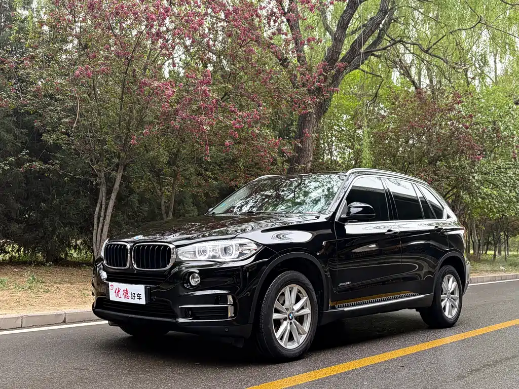 BMW X5 2017 — фото 1