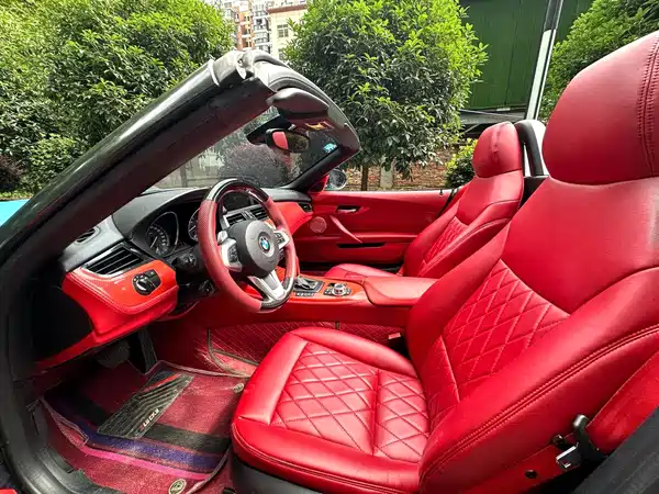BMW Z4 2010