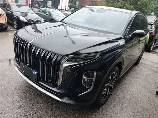 Hongqi HS7 2024