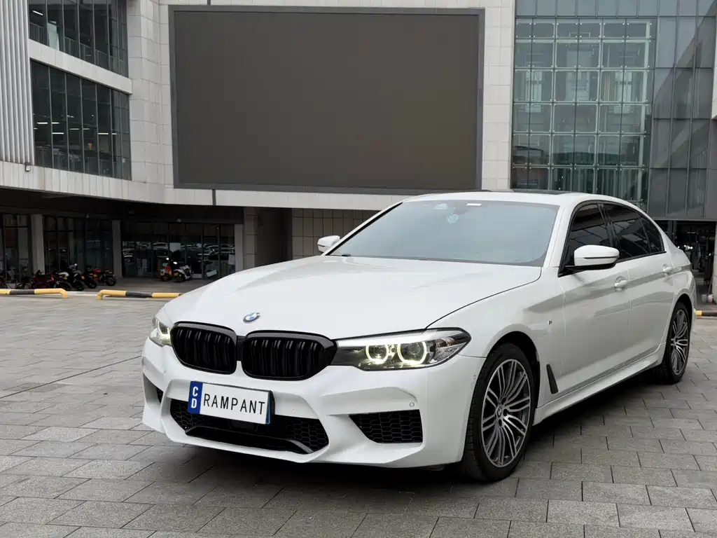 BMW 5 Series 2019 — фото 1