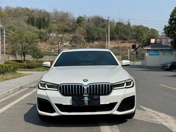 BMW 5 Series 2022