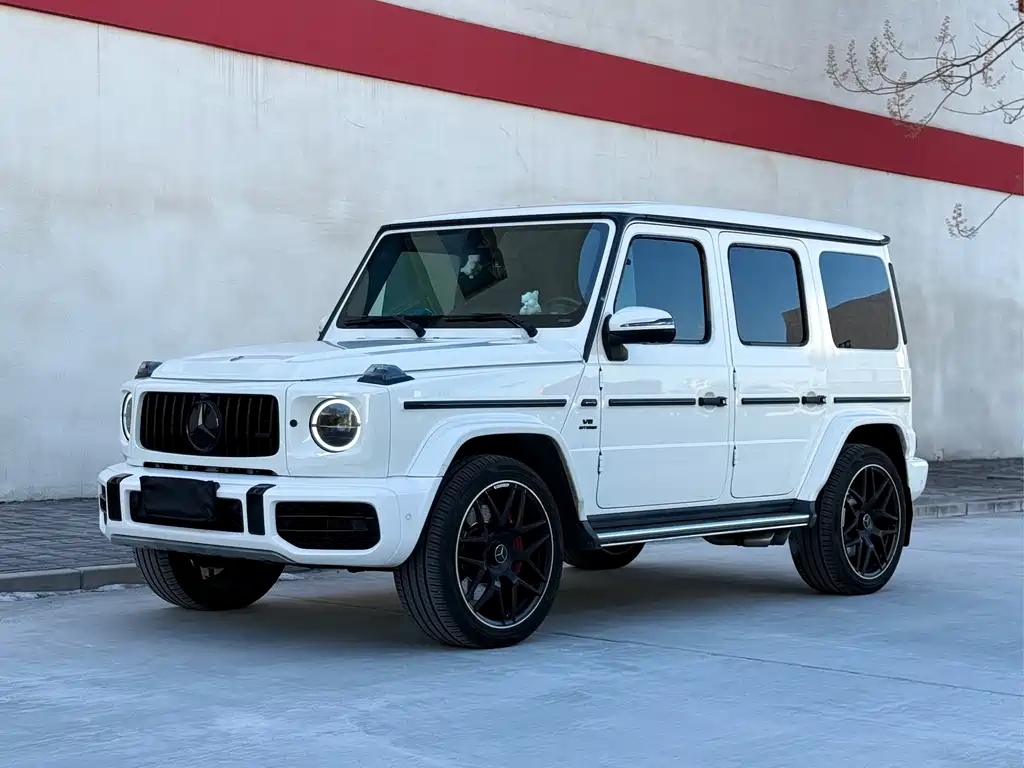 Mercedes-Benz G-Class 2020 — фото 1