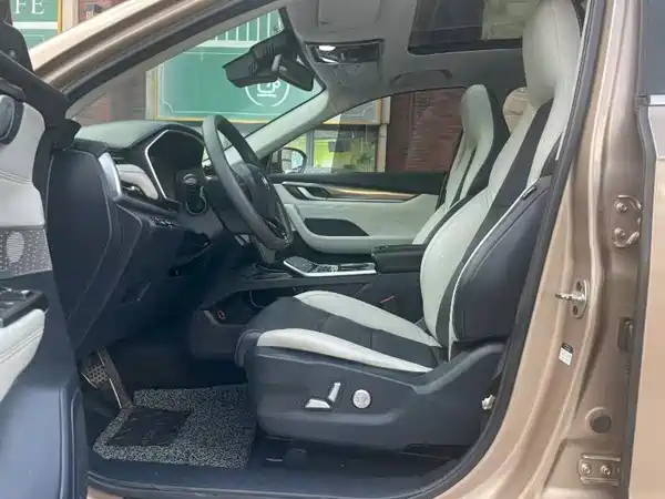WM Motor EX5 2019