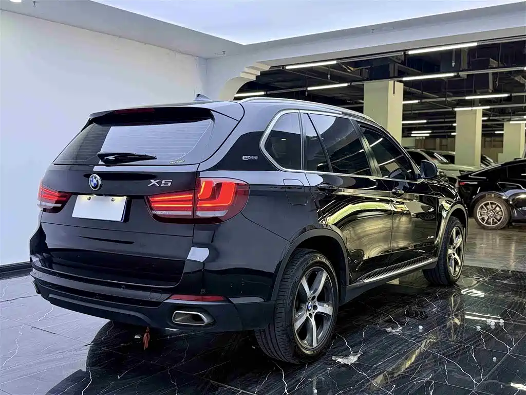 BMW X5 New Energy 2016 — фото 20