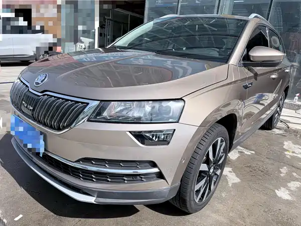 Skoda Karoq 2019