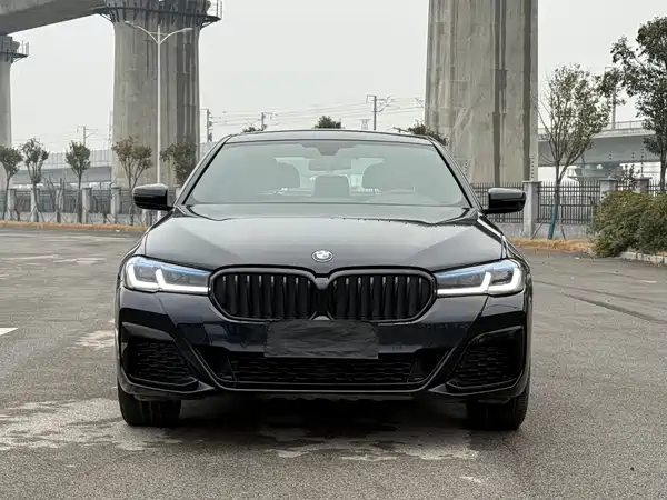 BMW 5 Series 2019