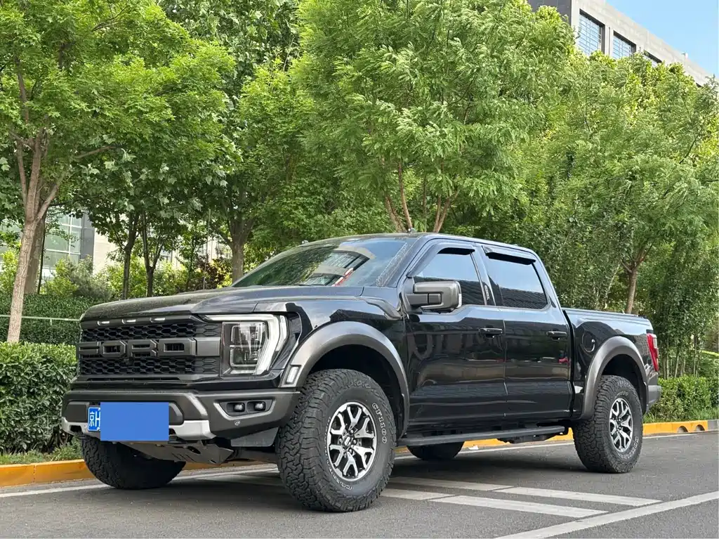 Ford F-150 Raptor 2024 — фото 1