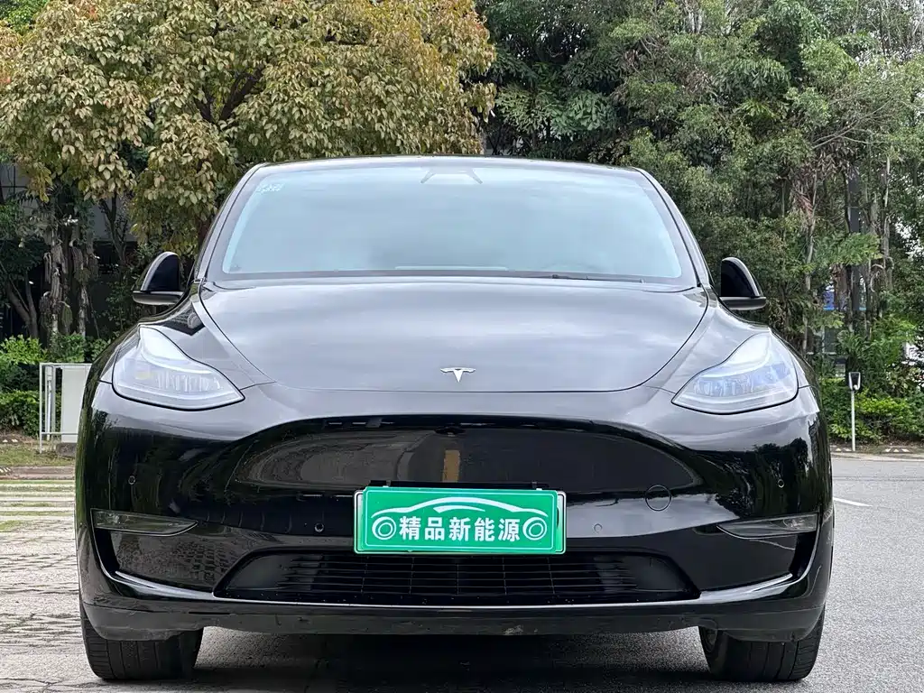 Tesla Model Y 2022 — фото 2