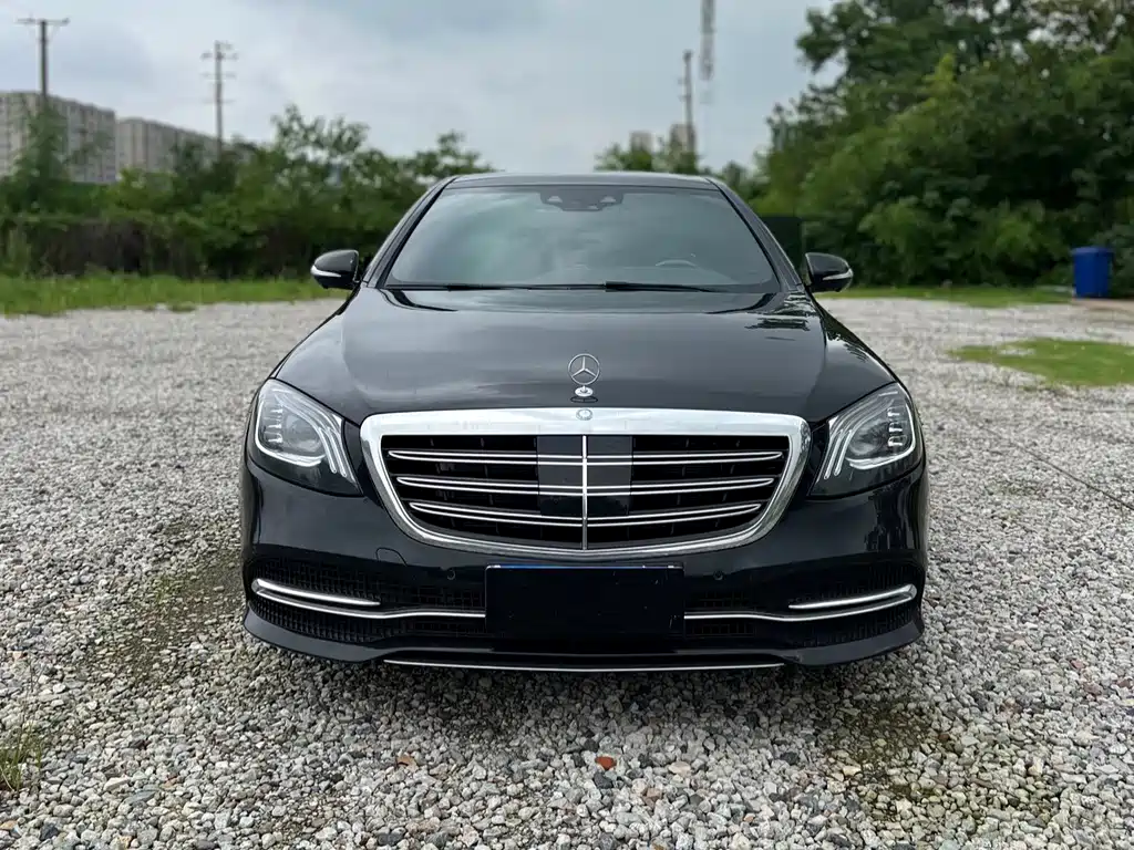 Mercedes-Benz S-Class 2019 — фото 2