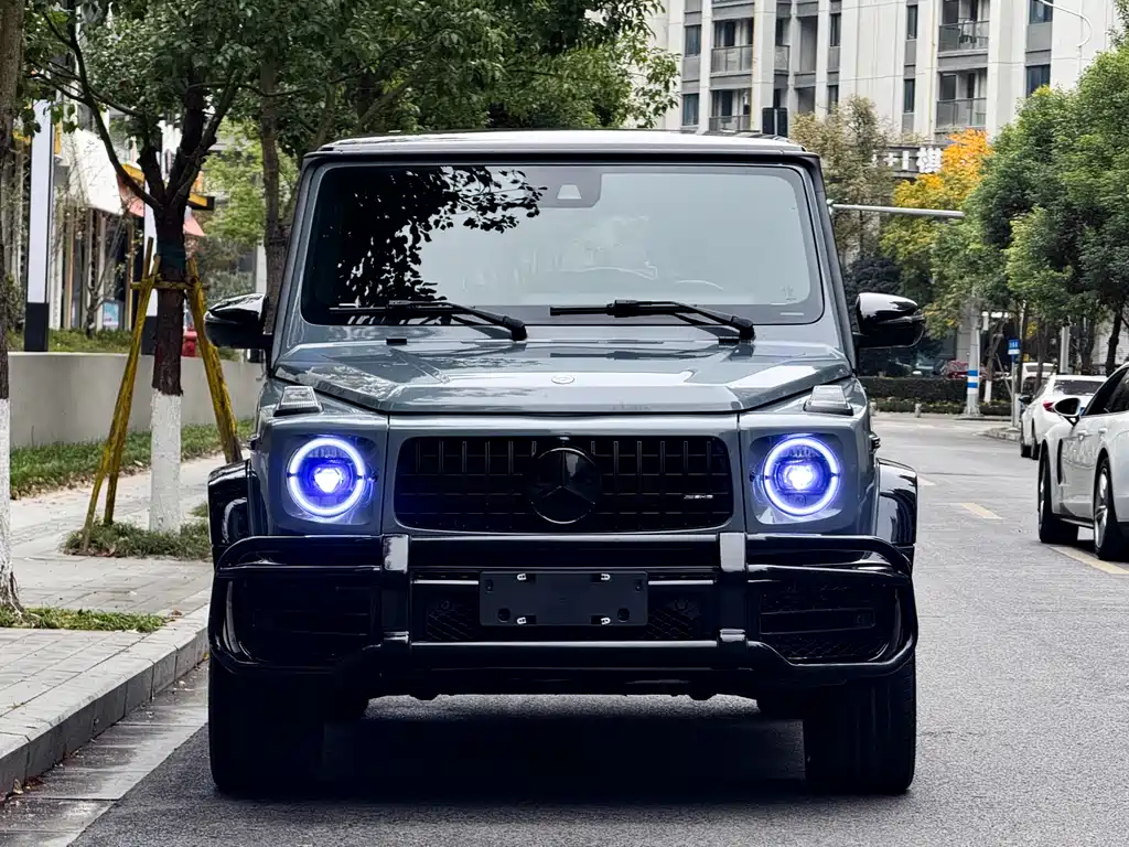 Mercedes-Benz G-Class 2018 — фото 2