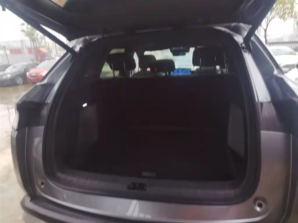 BYD L DM-i 2025 — фото 19