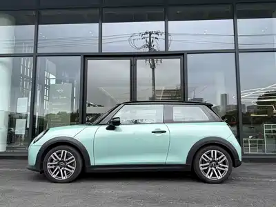 MINI MINI 2025