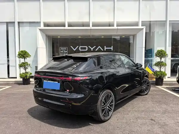 Voyah Zhiyin 2025
