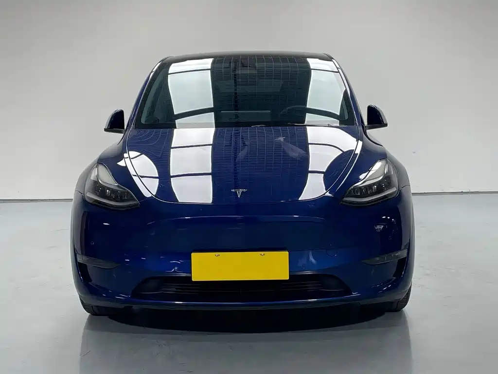 Tesla Model Y 2021 — фото 2