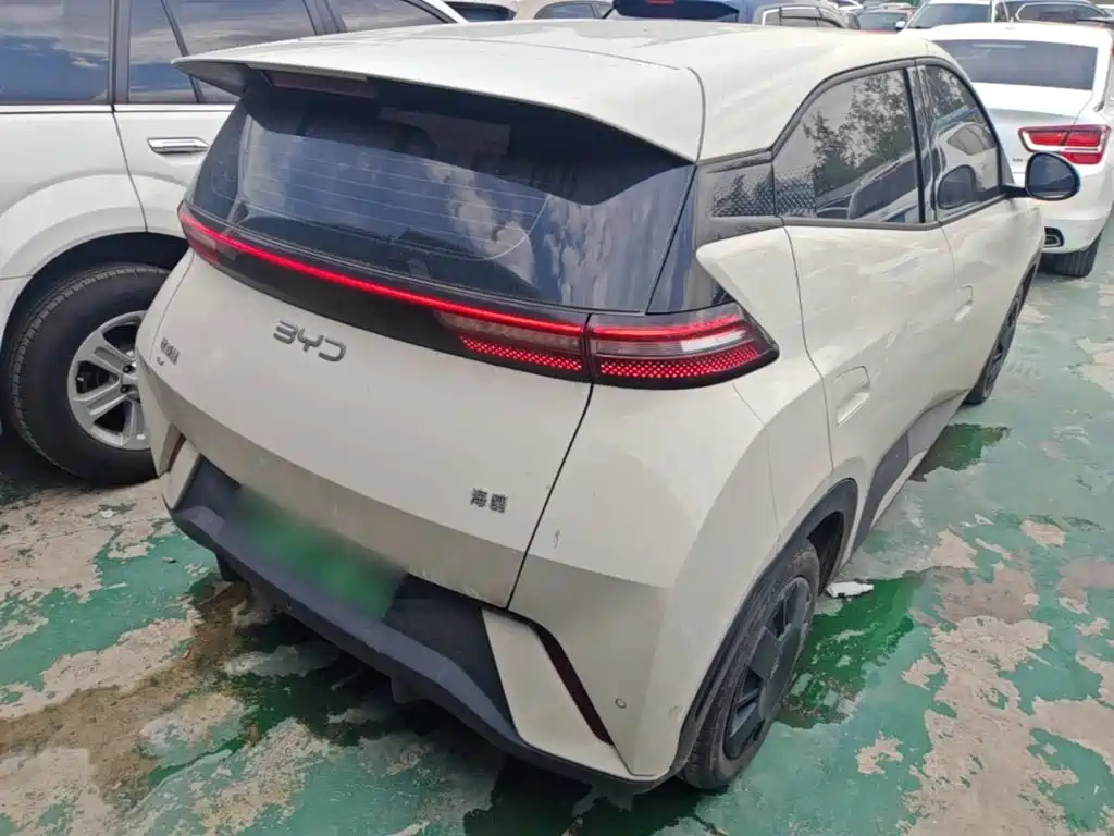 BYD Seagull 2024