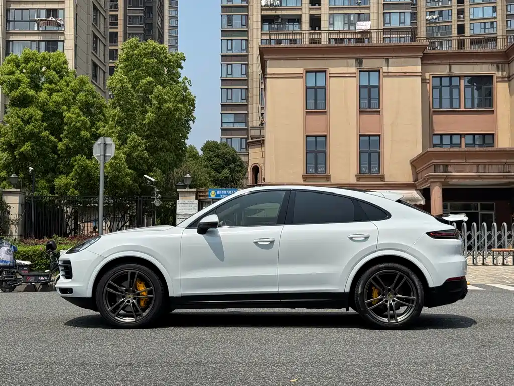 Porsche Cayenne 2020 — фото 16