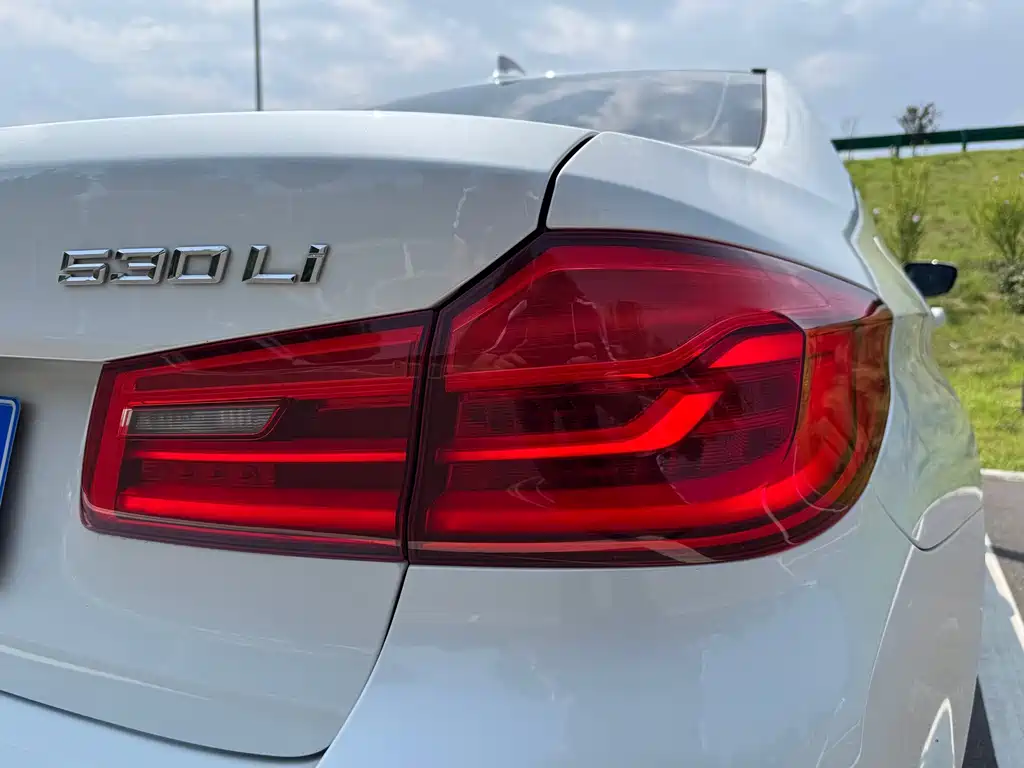 BMW 5 Series 2019 — фото 16