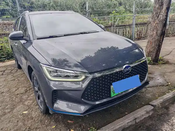 BYD e2 2019