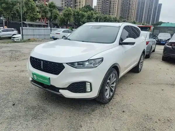 Wey VV6 2019