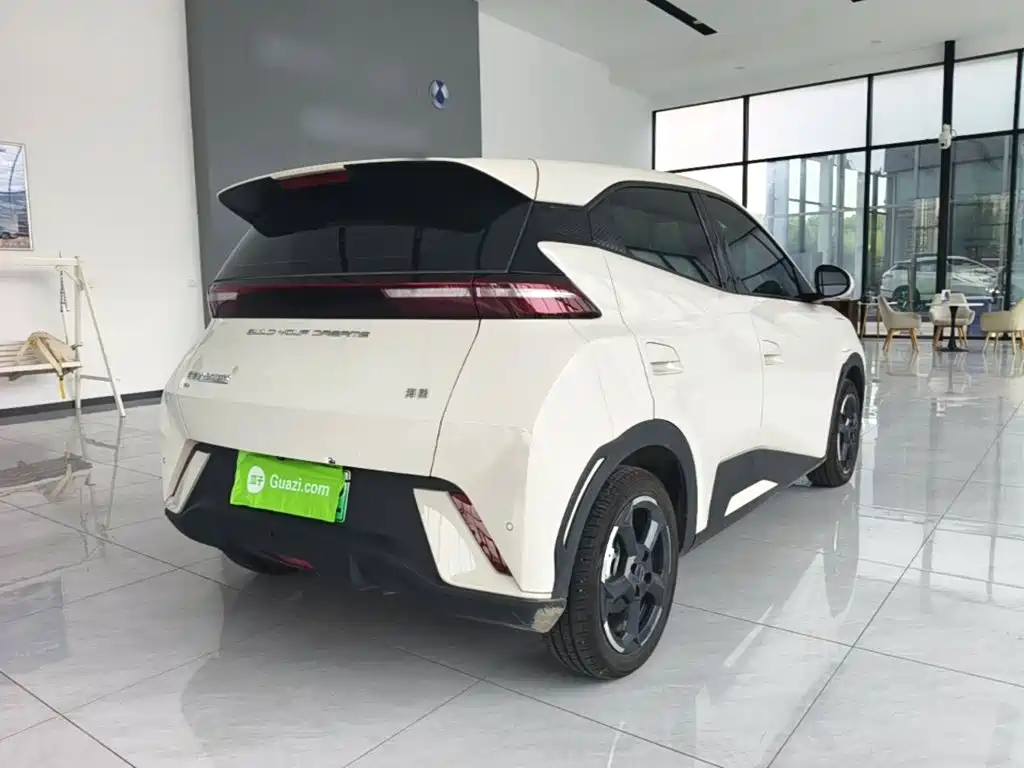 BYD Seagull 2024