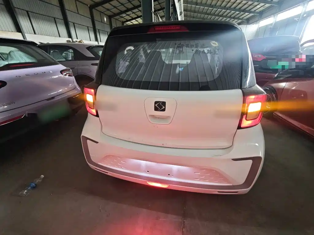 SOL Huaxianzi 2022