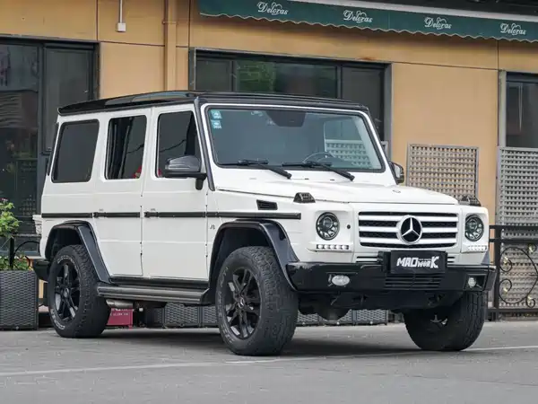 Mercedes-Benz G-Class 2010
