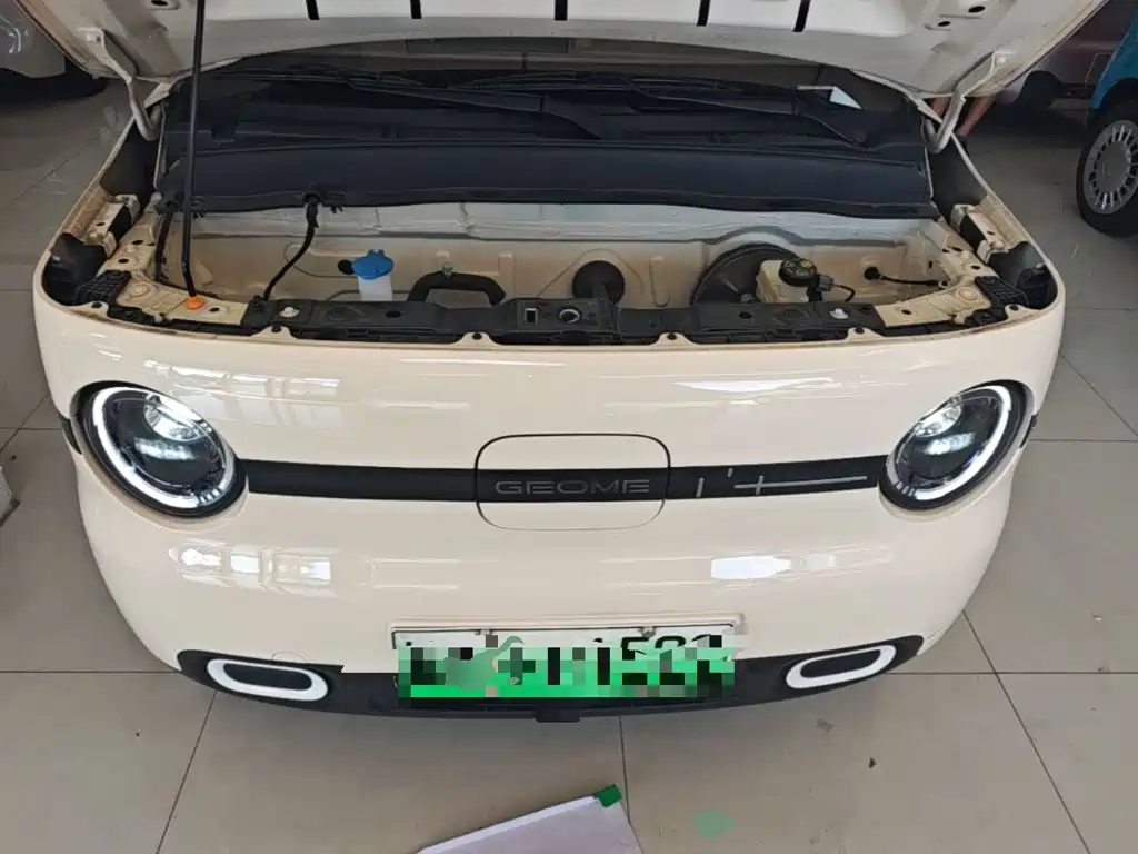 Geely Galaxy Panda 2025 — фото 20