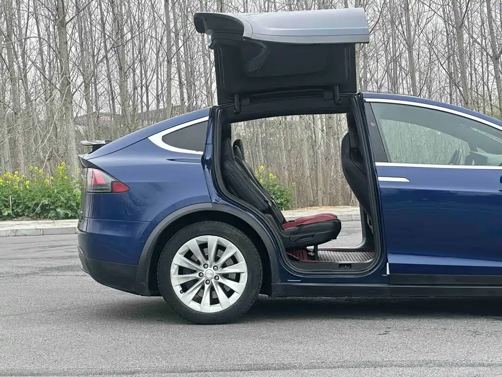 Tesla Model X 2019 — фото 8