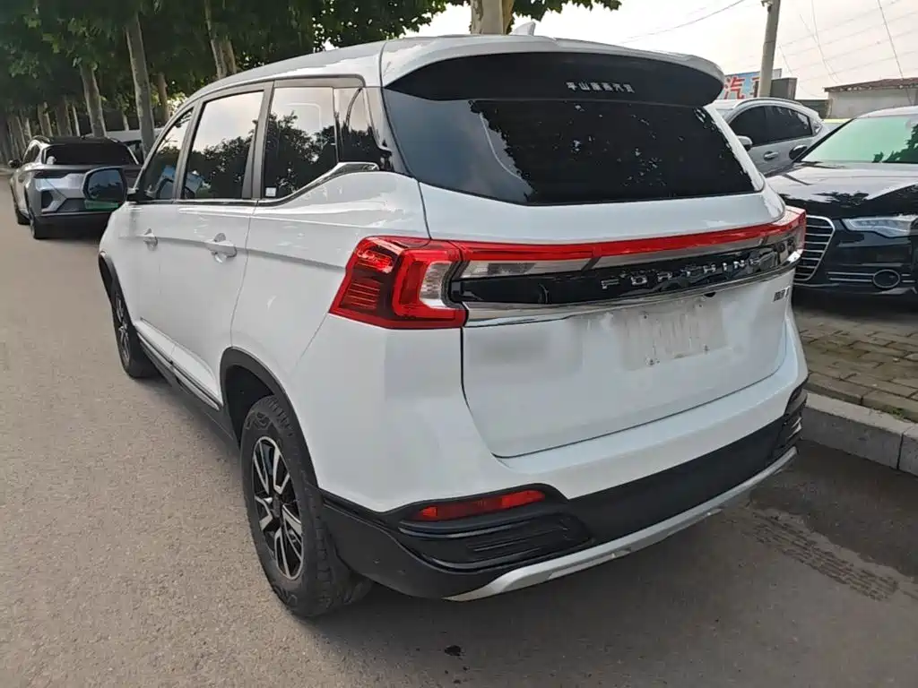 Dongfeng Fengxing T5 2024