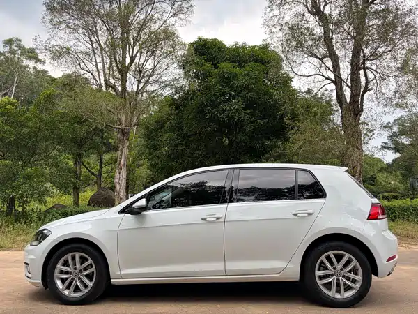Volkswagen Golf 2019