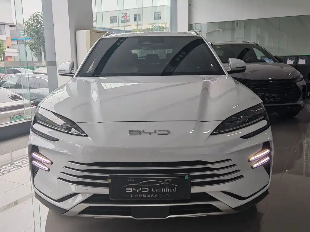 BYD Song PLUS New Energy 2024 — фото 2