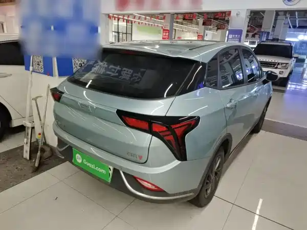 Neta V 2022