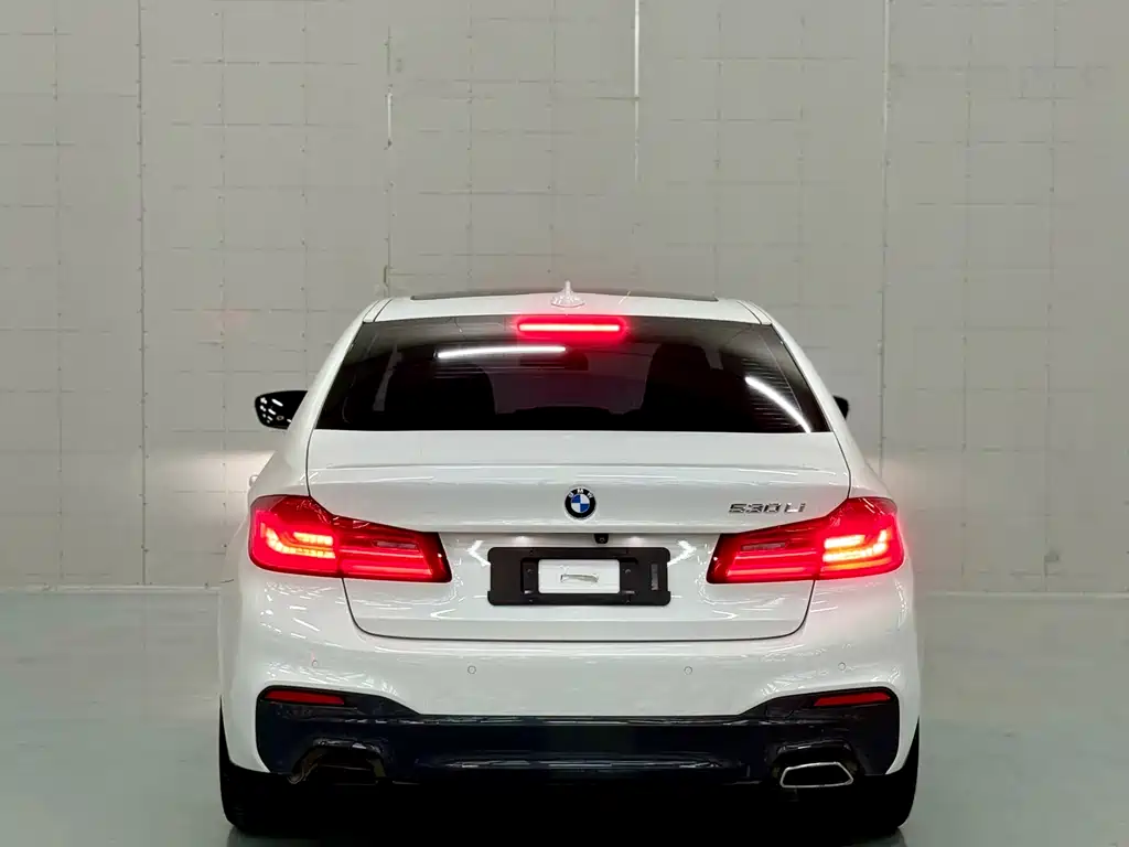 BMW 5 Series 2019 — фото 8