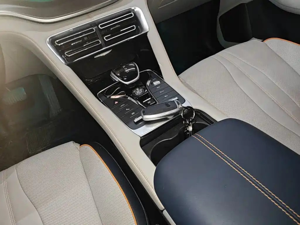 BYD PLUS New Energy 2023 — фото 10