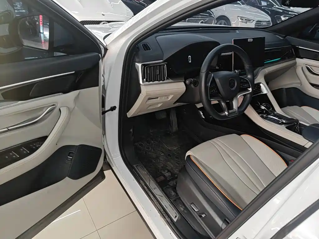 BYD PLUS New Energy 2023 — фото 12
