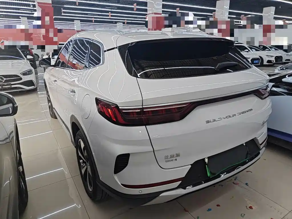 BYD PLUS New Energy 2023 — фото 23